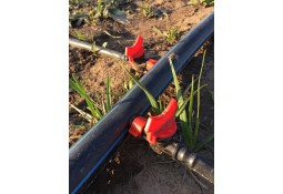 Капельный полив в теплице