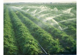 Различия между капельной лентой, капельной трубкой и распыляющим шлангом (туман)